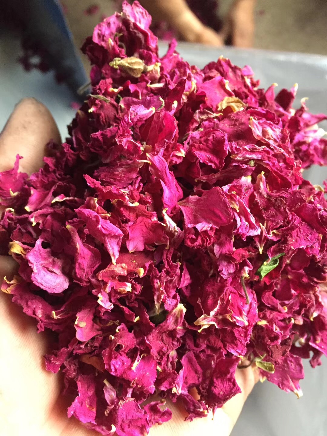 5371bf21d31799aae3c473e8ac05024 5371bf21d31799aae3c473e8ac05024